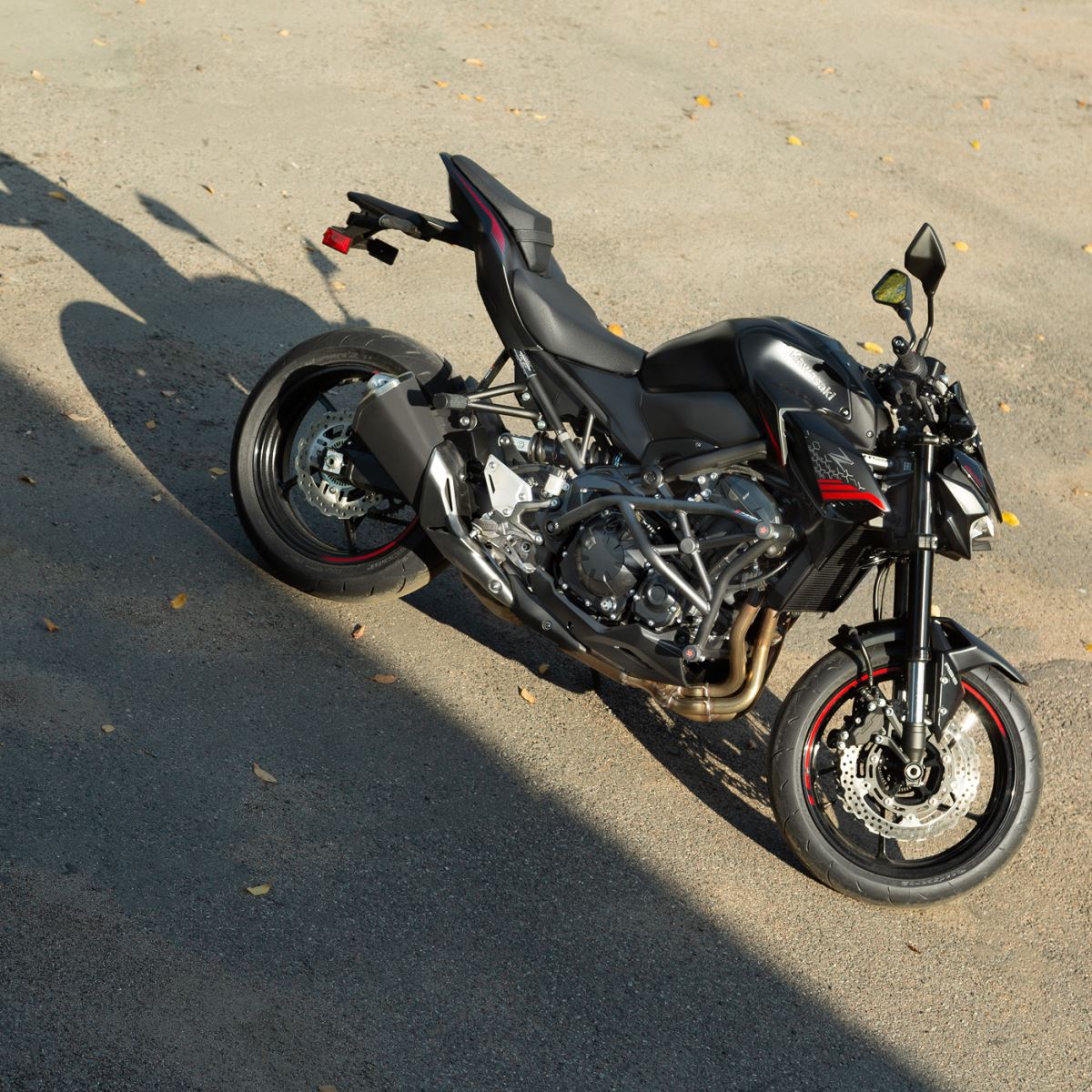 RG защитная клетка и сабкейдж для Kawasaki Z900