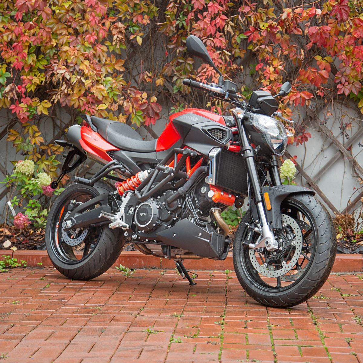RG защитная клетка и сабкейдж для Aprilia Shiver