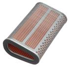 Воздушный фильтр ARF254 Filtrex (HFA1618)