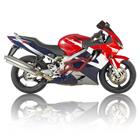 Защитные дуги RG "Honda CBR600F4/F4i '99-'06"