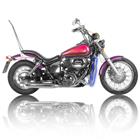 Защитные дуги RG "Honda VT400/600/750 Shadow Spirit, Slasher, Black Widow '00-'07"