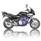 Защитные дуги RG "Yamaha XJ900S Diversion '95-'02", touring