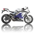 Клетка (street cage) RG "Kawasaki Ninja 300 '13-'17"