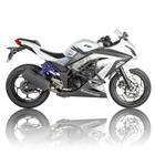 Сабкейдж RG "Kawasaki Ninja 300 '13-'17"